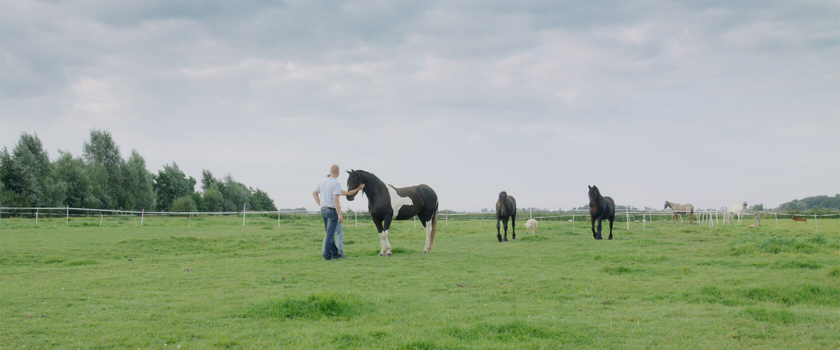 film_still_horses12_1680x700