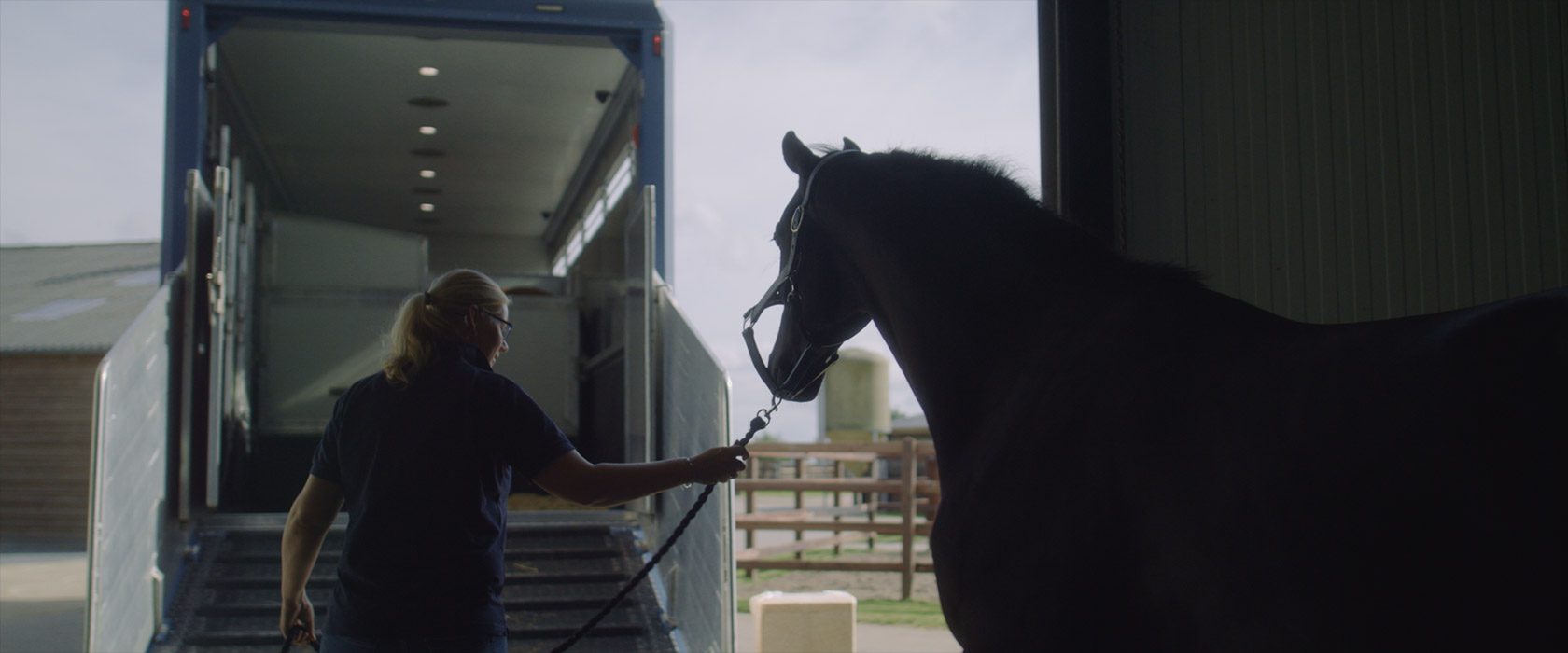 film_still_horses4_1680x700