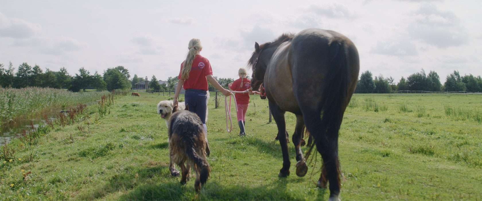 film_still_horses7_1680x700