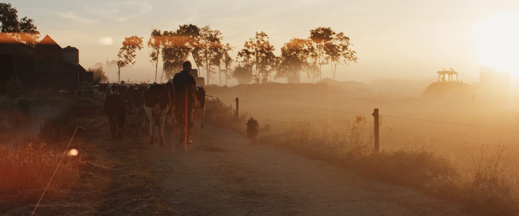 film_still_zgag_13_1680x700