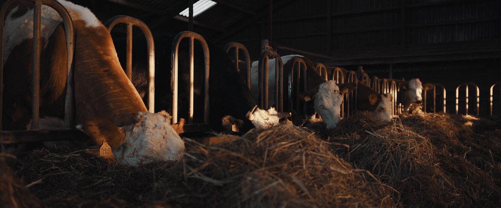 film_still_zgag_28_1680x700