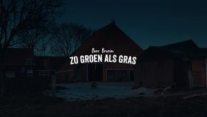 Zo Groen als Gras